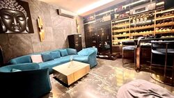 Toh Estate (D17), Detached #496147981